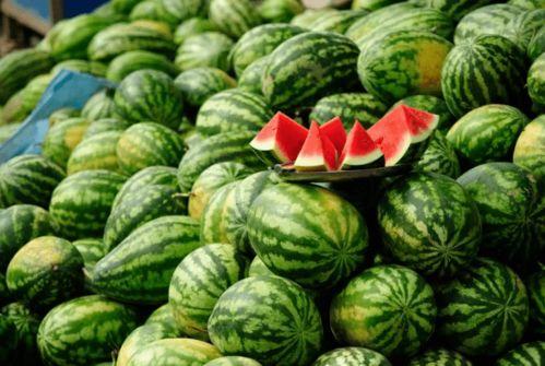 吃日本瓜的网红有哪些,盘点那些吃日本瓜的网红达人